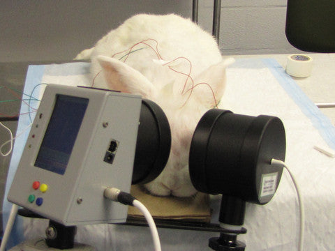 Handheld Multi-species Electroretinography (HMsERG) Model 2000